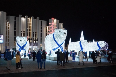 СУЭНКО впервые установила в Кургане огромных светодиодных медведей